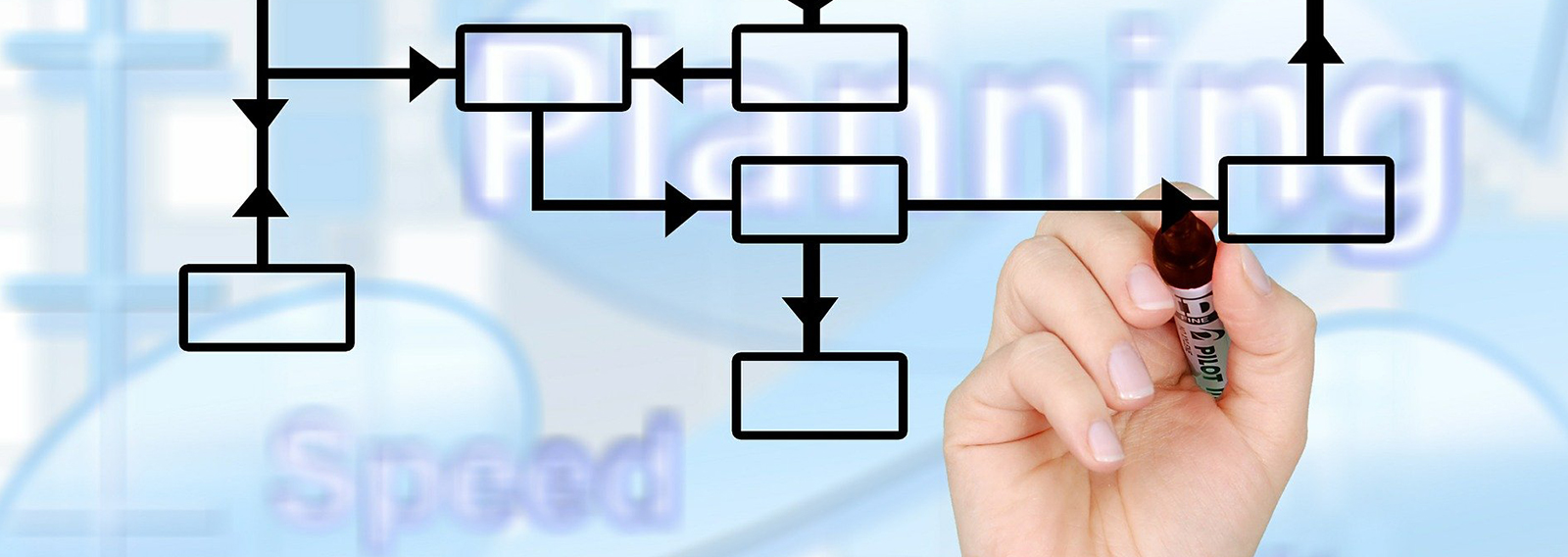 Informe de Desempeño de los Procesos 